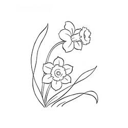Dessin à colorier: Fleurs (Nature) #155250 - Coloriages à Imprimer Gratuits