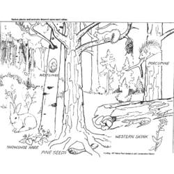 Dessin à colorier: Forêt (Nature) #157021 - Coloriages à Imprimer Gratuits