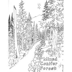 Dessin à colorier: Forêt (Nature) #157046 - Coloriages à Imprimer Gratuits