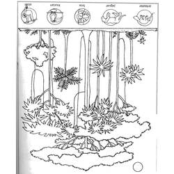 Dessin à colorier: Forêt (Nature) #157251 - Coloriages à Imprimer Gratuits