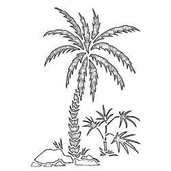 Dessin à colorier: Palmier (Nature) #161123 - Coloriages à Imprimer Gratuits
