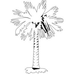 Dessin à colorier: Palmier (Nature) #161228 - Coloriages à Imprimer Gratuits