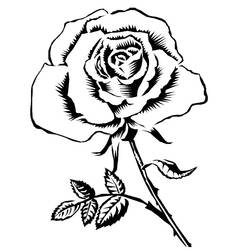Dessin à colorier: Roses (Nature) #161863 - Coloriages à Imprimer Gratuits