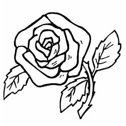 Dessin à colorier: Roses (Nature) #161870 - Coloriages à Imprimer Gratuits