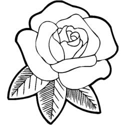 Dessin à colorier: Roses (Nature) #161871 - Coloriages à Imprimer Gratuits