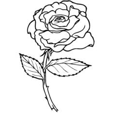 Dessin à colorier: Roses (Nature) #161884 - Coloriages à Imprimer Gratuits