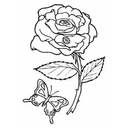 Dessin à colorier: Roses (Nature) #161885 - Coloriages à Imprimer Gratuits