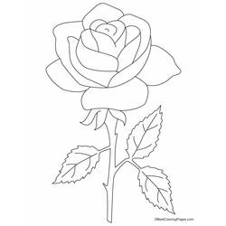 Dessin à colorier: Roses (Nature) #161893 - Coloriages à Imprimer Gratuits