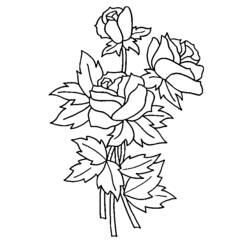 Dessin à colorier: Roses (Nature) #161895 - Coloriages à Imprimer Gratuits