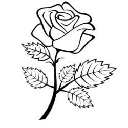 Dessin à colorier: Roses (Nature) #161936 - Coloriages à Imprimer Gratuits