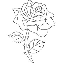 Dessin à colorier: Roses (Nature) #161971 - Coloriages à Imprimer Gratuits