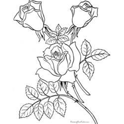 Dessin à colorier: Roses (Nature) #161984 - Coloriages à Imprimer Gratuits