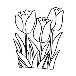 Dessin à colorier: Tulipe (Nature) #161613 - Coloriages à Imprimer Gratuits