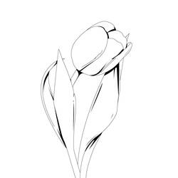 Dessin à colorier: Tulipe (Nature) #161615 - Coloriages à Imprimer Gratuits