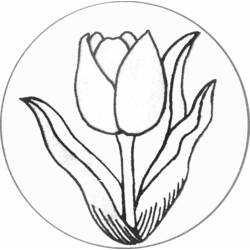Dessin à colorier: Tulipe (Nature) #161622 - Coloriages à Imprimer Gratuits