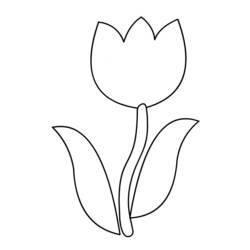 Dessin à colorier: Tulipe (Nature) #161625 - Coloriages à Imprimer Gratuits