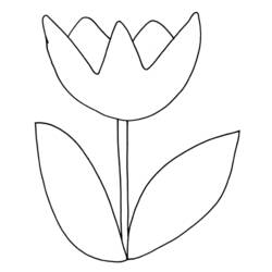 Dessin à colorier: Tulipe (Nature) #161628 - Coloriages à Imprimer Gratuits