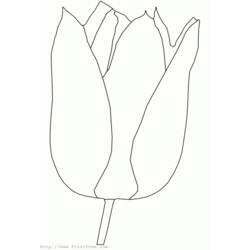 Dessin à colorier: Tulipe (Nature) #161633 - Coloriages à Imprimer Gratuits