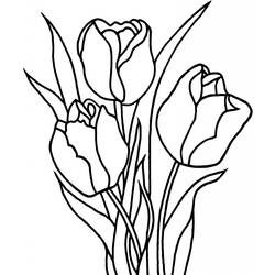 Dessin à colorier: Tulipe (Nature) #161634 - Coloriages à Imprimer Gratuits