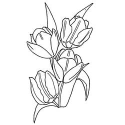 Dessin à colorier: Tulipe (Nature) #161636 - Coloriages à Imprimer Gratuits