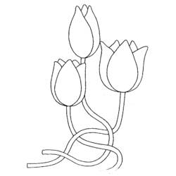 Dessin à colorier: Tulipe (Nature) #161639 - Coloriages à Imprimer Gratuits