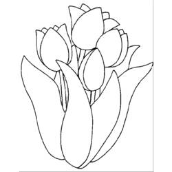 Dessin à colorier: Tulipe (Nature) #161642 - Coloriages à Imprimer Gratuits
