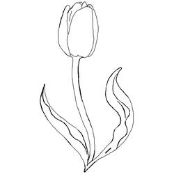 Dessin à colorier: Tulipe (Nature) #161651 - Coloriages à Imprimer Gratuits