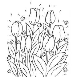 Dessin à colorier: Tulipe (Nature) #161702 - Coloriages à Imprimer Gratuits