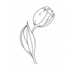 Dessin à colorier: Tulipe (Nature) #161732 - Coloriages à Imprimer Gratuits