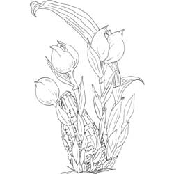 Dessin à colorier: Tulipe (Nature) #161737 - Coloriages à Imprimer Gratuits