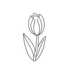 Dessin à colorier: Tulipe (Nature) #161767 - Coloriages à Imprimer Gratuits