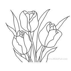 Dessin à colorier: Tulipe (Nature) #161768 - Coloriages à Imprimer Gratuits