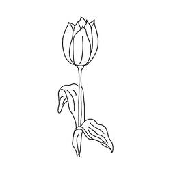 Dessin à colorier: Tulipe (Nature) #161801 - Coloriages à Imprimer Gratuits
