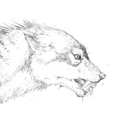 Dessin à colorier: Loup garou (Personnages) #100026 - Coloriages à Imprimer Gratuits