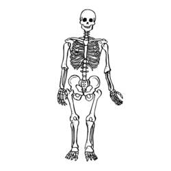 Dessin à colorier: Squelette (Personnages) #147415 - Coloriages à Imprimer Gratuits