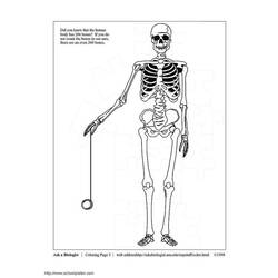 Dessin à colorier: Squelette (Personnages) #147456 - Coloriages à Imprimer Gratuits