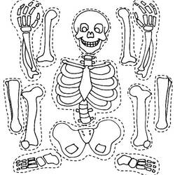 Dessin à colorier: Squelette (Personnages) #147464 - Coloriages à Imprimer Gratuits
