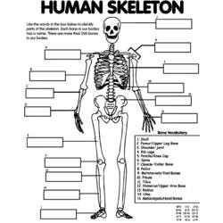 Dessin à colorier: Squelette (Personnages) #147475 - Coloriages à Imprimer Gratuits