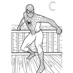Dessin à colorier: Spiderman (Super-héros) #78643 - Coloriages à Imprimer Gratuits